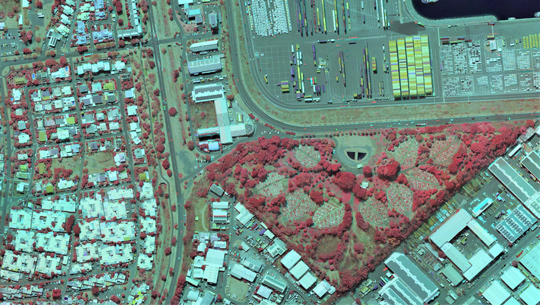 Orthophoto Proche Infrarouge-Rouge-Vert pour mise en évidence de la végétation.